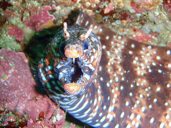 P8020017.jpg - OLYMPUS DIGITAL CAMERA