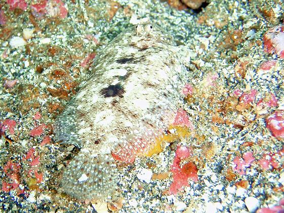 P8020025.jpg - OLYMPUS DIGITAL CAMERA