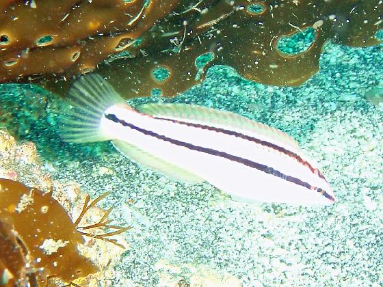 P8020028.jpg - OLYMPUS DIGITAL CAMERA