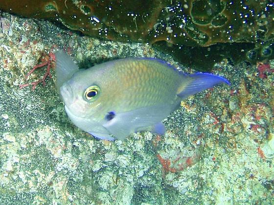 P8020029.jpg - OLYMPUS DIGITAL CAMERA