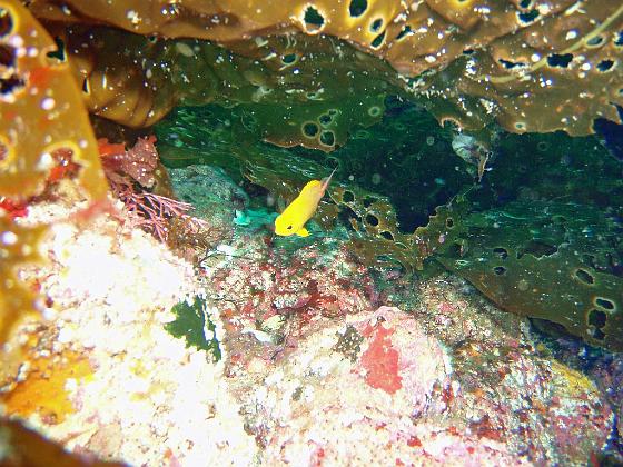 P8020031.jpg - OLYMPUS DIGITAL CAMERA