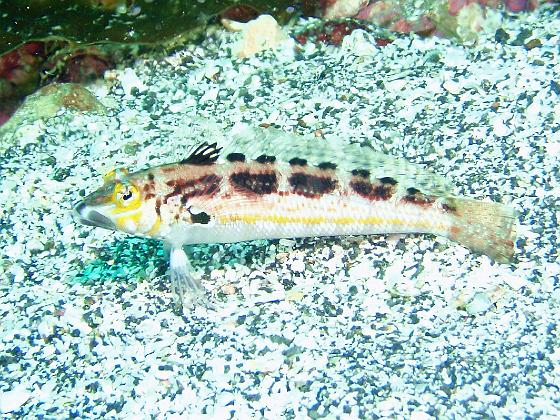 P8020032.jpg - OLYMPUS DIGITAL CAMERA