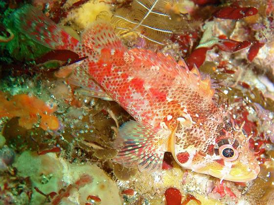 P8020038.jpg - OLYMPUS DIGITAL CAMERA