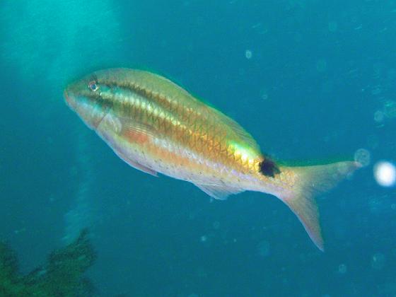 P8020041.jpg - OLYMPUS DIGITAL CAMERA