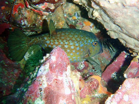 P8020045.jpg - OLYMPUS DIGITAL CAMERA