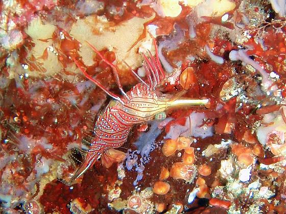 P8020049.jpg - OLYMPUS DIGITAL CAMERA