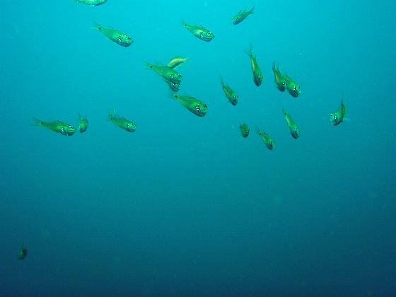 P8020051.jpg - OLYMPUS DIGITAL CAMERA