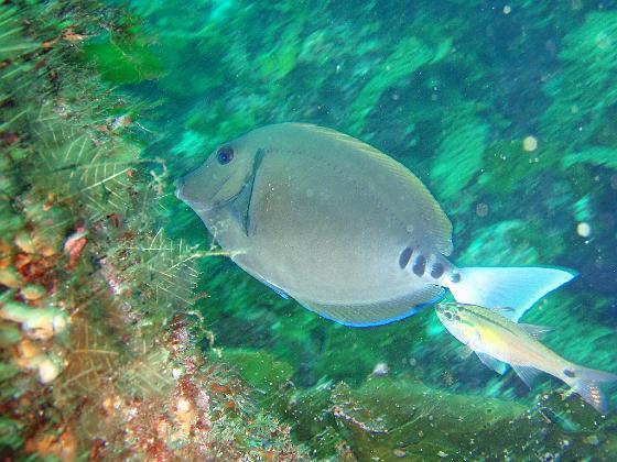 P8020053.jpg - OLYMPUS DIGITAL CAMERA