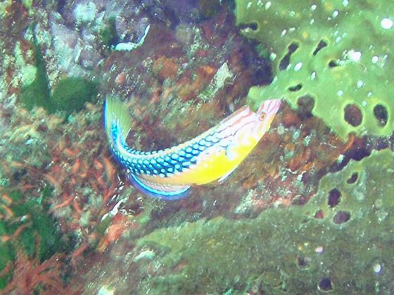 P8020054.jpg - OLYMPUS DIGITAL CAMERA