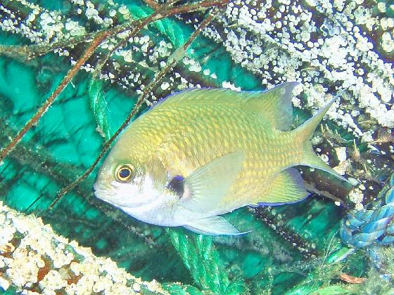 P8020079.jpg - OLYMPUS DIGITAL CAMERA