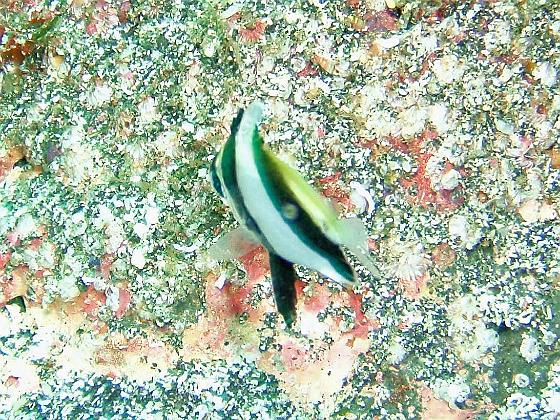 P8020086.jpg - OLYMPUS DIGITAL CAMERA