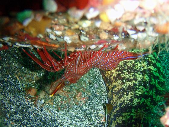 P8020087.jpg - OLYMPUS DIGITAL CAMERA