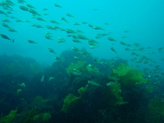 P8020096.jpg - OLYMPUS DIGITAL CAMERA