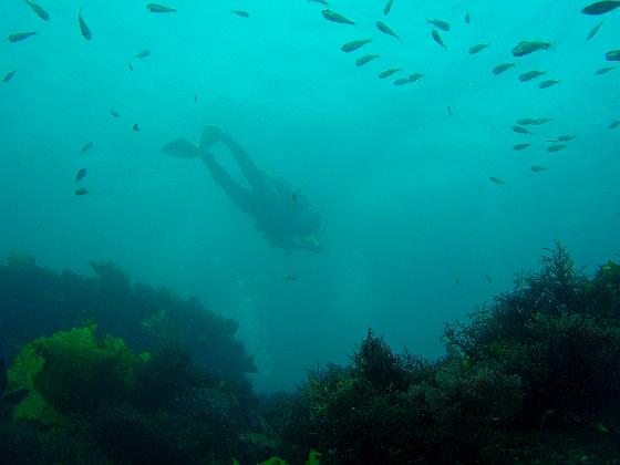 P8020098.jpg - OLYMPUS DIGITAL CAMERA