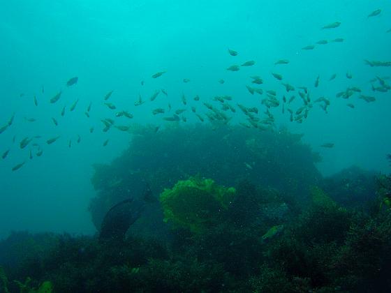 P8020100.jpg - OLYMPUS DIGITAL CAMERA