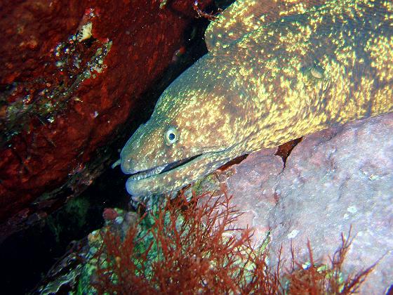 P8020103.jpg - OLYMPUS DIGITAL CAMERA