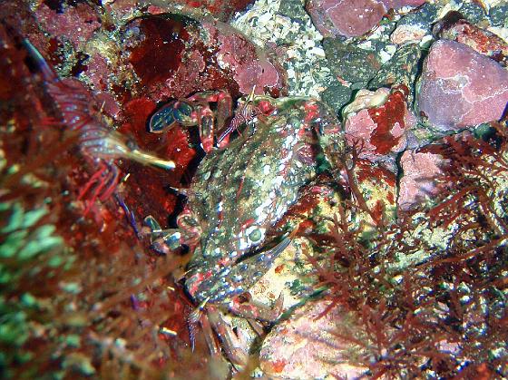 P8020104.jpg - OLYMPUS DIGITAL CAMERA