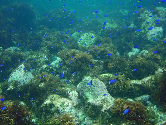 P8020106.jpg - OLYMPUS DIGITAL CAMERA