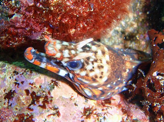 P8020109.jpg - OLYMPUS DIGITAL CAMERA