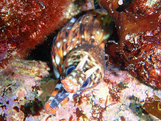 P8020110.jpg - OLYMPUS DIGITAL CAMERA