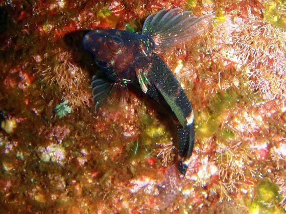 P8020113.jpg - OLYMPUS DIGITAL CAMERA