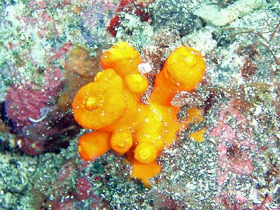 P9130017.jpg - OLYMPUS DIGITAL CAMERA