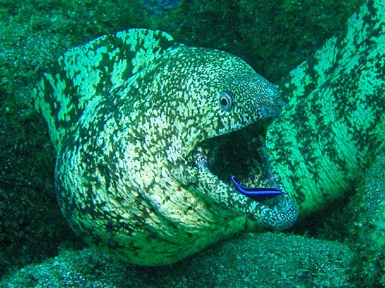 P9130055.jpg - OLYMPUS DIGITAL CAMERA