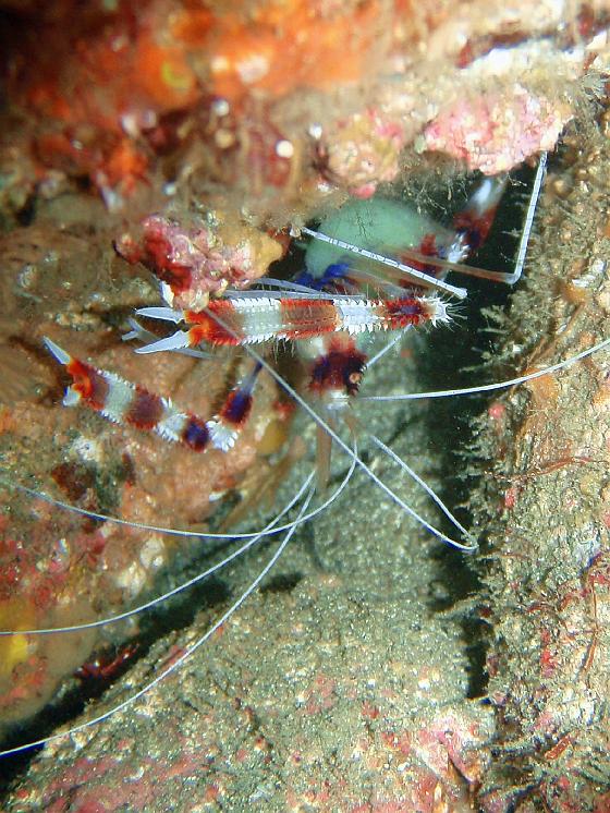 P9130066.jpg - OLYMPUS DIGITAL CAMERA