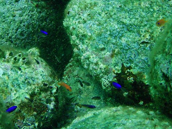 P9130093.jpg - OLYMPUS DIGITAL CAMERA