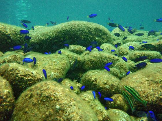 P9130098.jpg - OLYMPUS DIGITAL CAMERA