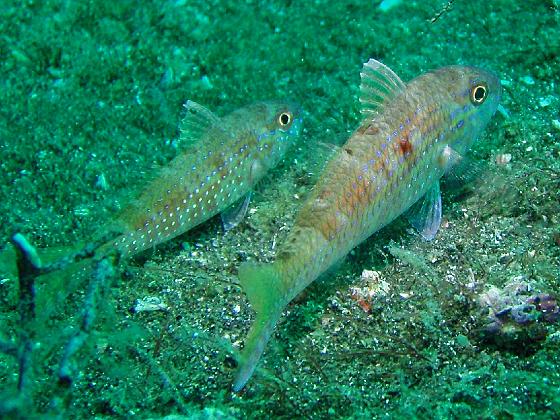 P9130124.jpg - OLYMPUS DIGITAL CAMERA