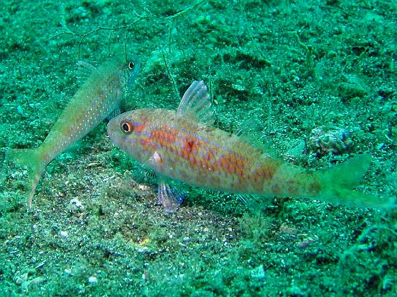 P9130127.jpg - OLYMPUS DIGITAL CAMERA