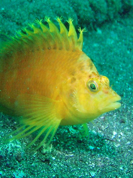 P9130151.jpg - OLYMPUS DIGITAL CAMERA