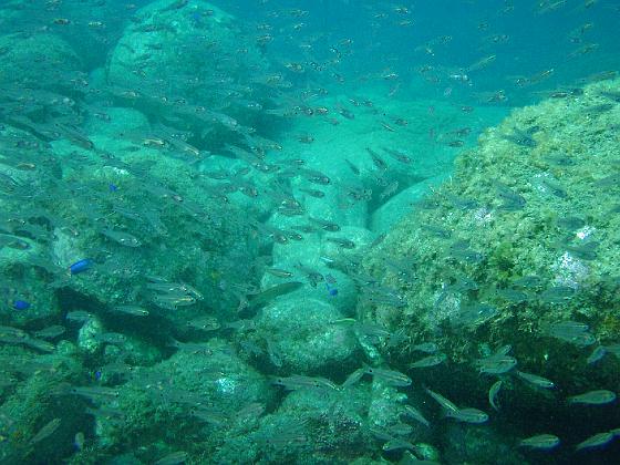 P9130165.jpg - OLYMPUS DIGITAL CAMERA