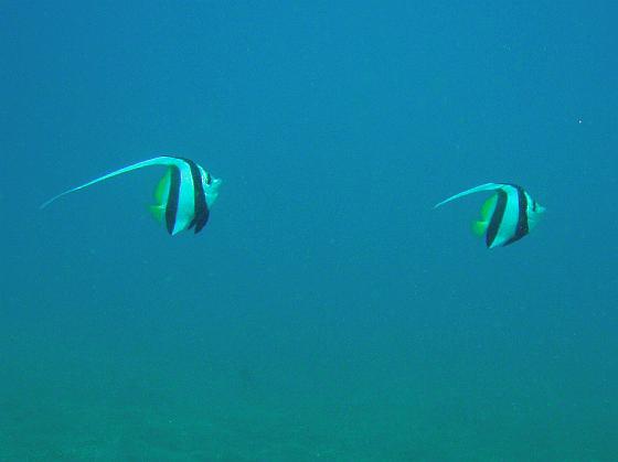 P9130183.jpg - OLYMPUS DIGITAL CAMERA