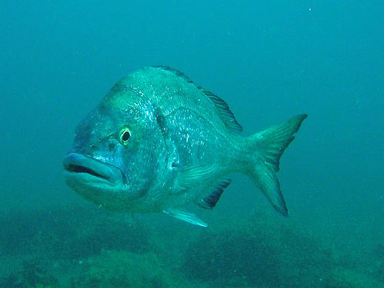 P9130186.jpg - OLYMPUS DIGITAL CAMERA