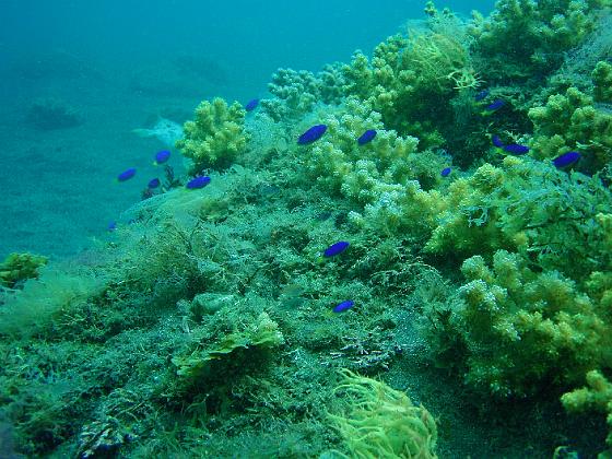 P9130203.jpg - OLYMPUS DIGITAL CAMERA