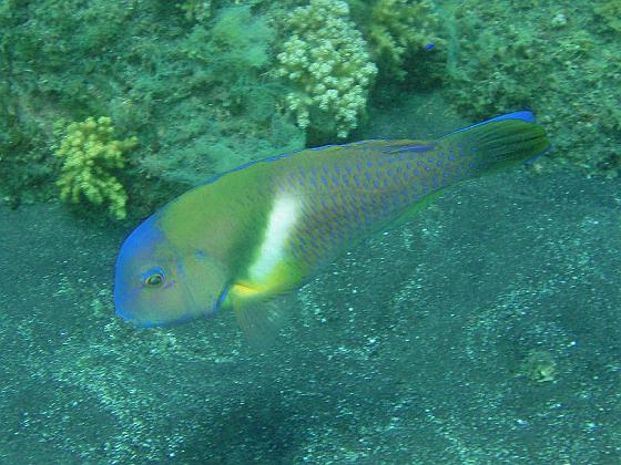 P9130220.jpg - OLYMPUS DIGITAL CAMERA