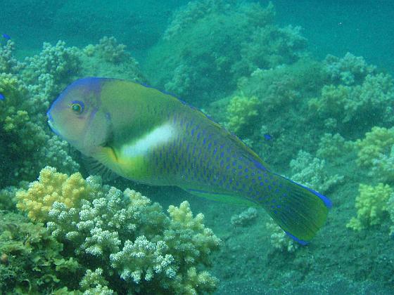 P9130221.jpg - OLYMPUS DIGITAL CAMERA