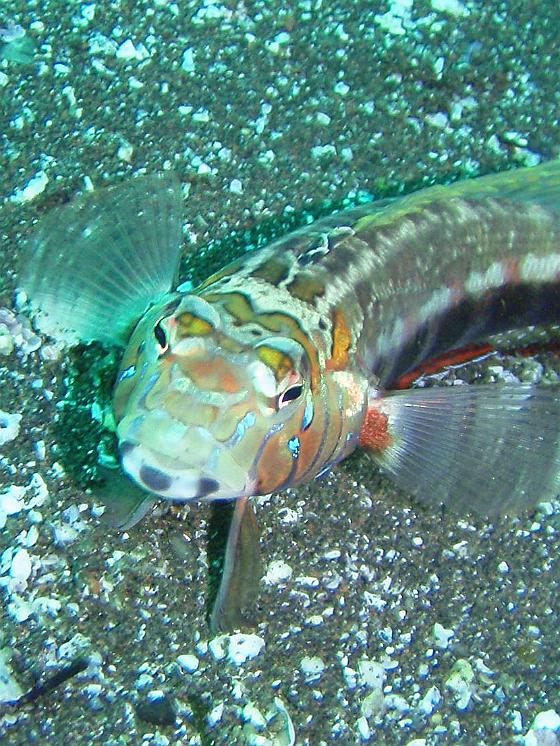 P9130235.jpg - OLYMPUS DIGITAL CAMERA