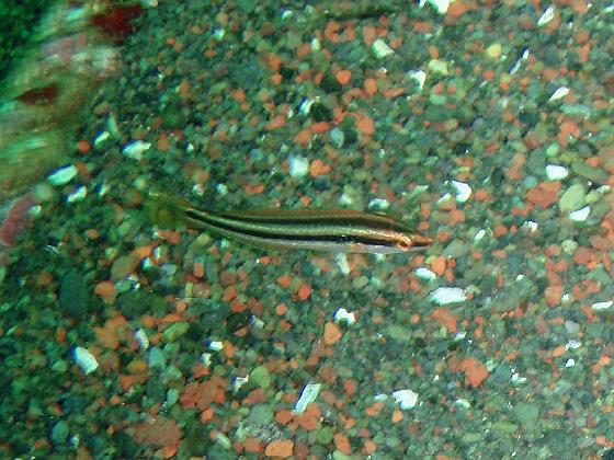 P9150003.jpg - OLYMPUS DIGITAL CAMERA