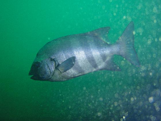 P9150015.jpg - OLYMPUS DIGITAL CAMERA