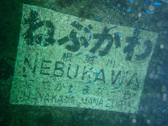 P9150016.jpg - OLYMPUS DIGITAL CAMERA