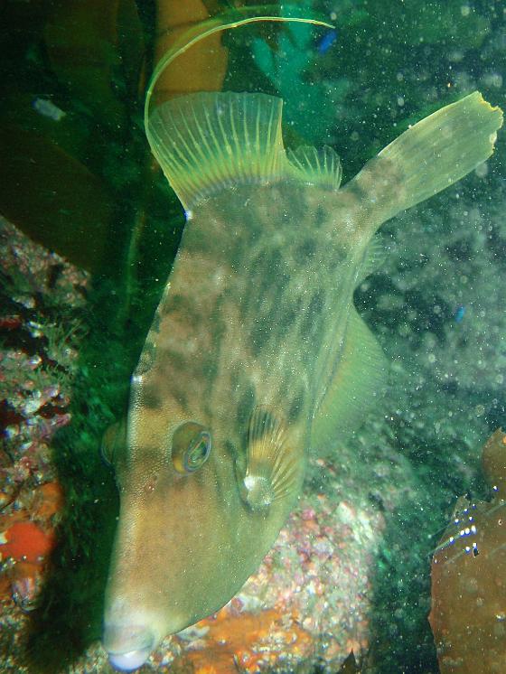 P9150020-1.jpg - OLYMPUS DIGITAL CAMERA