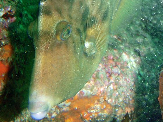 P9150020.jpg - OLYMPUS DIGITAL CAMERA