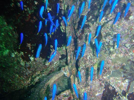 P9150025.jpg - OLYMPUS DIGITAL CAMERA