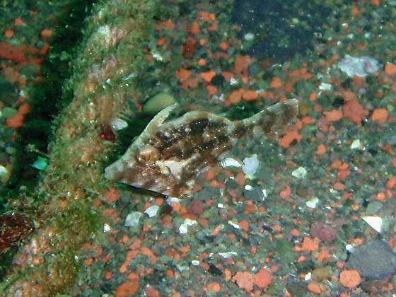 P9150034.jpg - OLYMPUS DIGITAL CAMERA