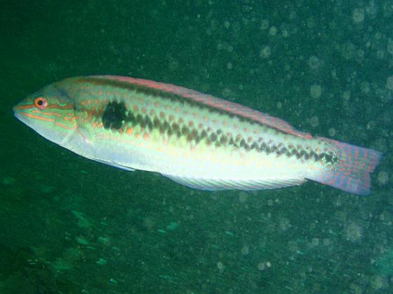 P9150036.jpg - OLYMPUS DIGITAL CAMERA