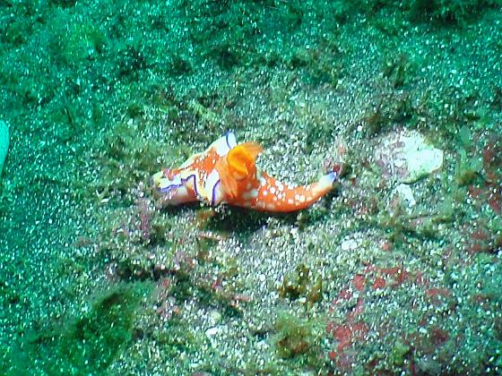 PA040034.jpg - OLYMPUS DIGITAL CAMERA