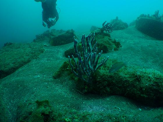 PA040035.jpg - OLYMPUS DIGITAL CAMERA